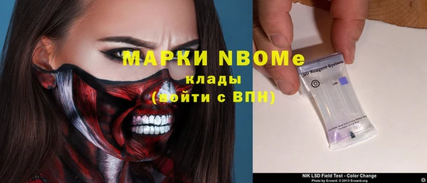 крисы Мегион