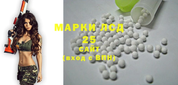 крисы Мегион