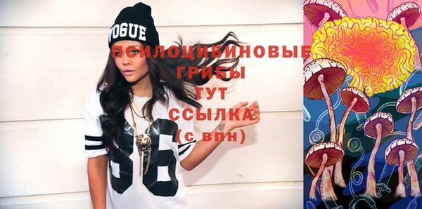 метадон Медвежьегорск