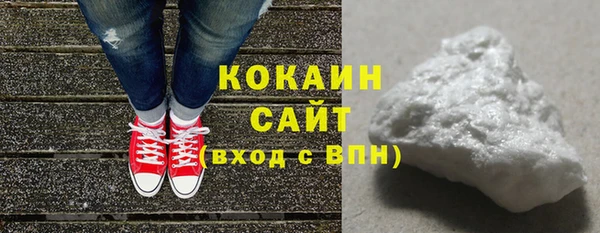 крисы Мегион
