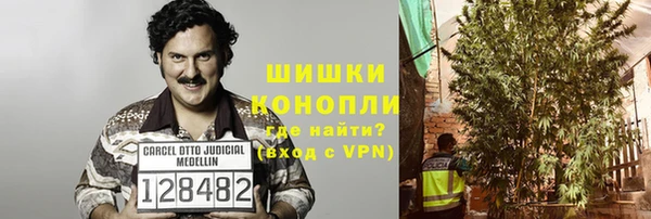 крисы Мегион
