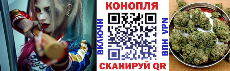 Купить закладки  Черемхово  Марихуана Amnesia 